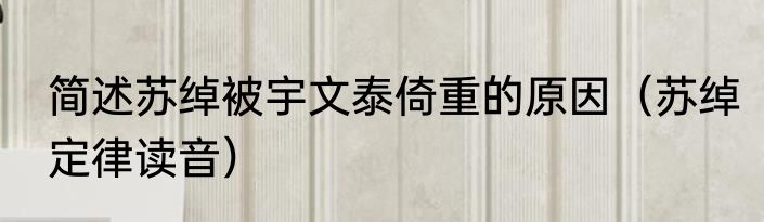 简述苏绰被宇文泰倚重的原因（苏绰定律读音）