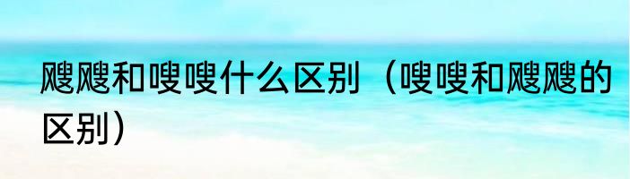 飕飕和嗖嗖什么区别（嗖嗖和飕飕的区别）