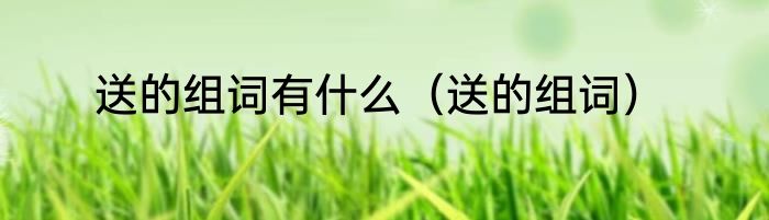 送的组词有什么（送的组词）