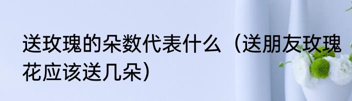 送玫瑰的朵数代表什么（送朋友玫瑰花应该送几朵）
