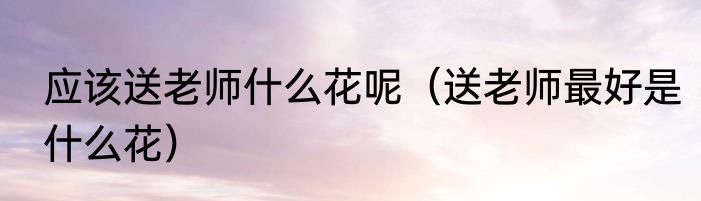 应该送老师什么花呢（送老师最好是什么花）