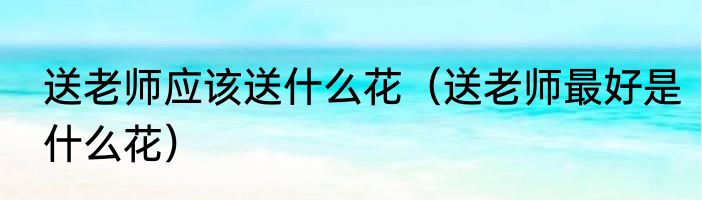 送老师应该送什么花（送老师最好是什么花）