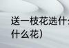 送一枝花选什么好（希望心情愉悦送什么花）