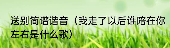 送别简谱谐音（我走了以后谁陪在你左右是什么歌）