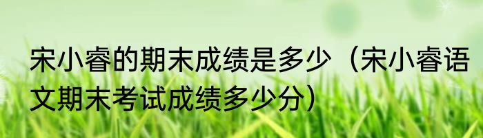 宋小睿的期末成绩是多少（宋小睿语文期末考试成绩多少分）