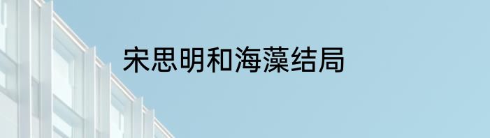 宋思明和海藻结局