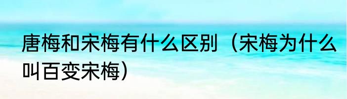 唐梅和宋梅有什么区别（宋梅为什么叫百变宋梅）