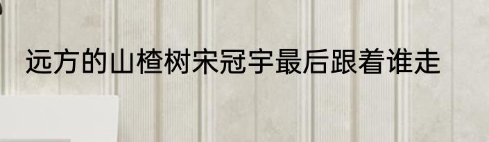 远方的山楂树宋冠宇最后跟着谁走