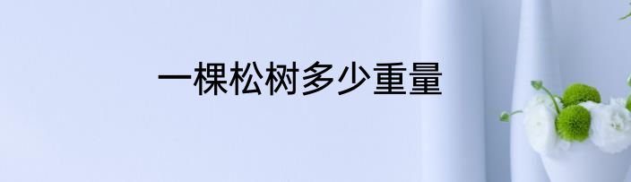 一棵松树多少重量