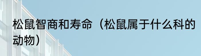 松鼠智商和寿命（松鼠属于什么科的动物）