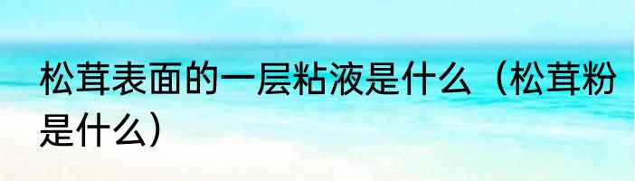 松茸表面的一层粘液是什么（松茸粉是什么）