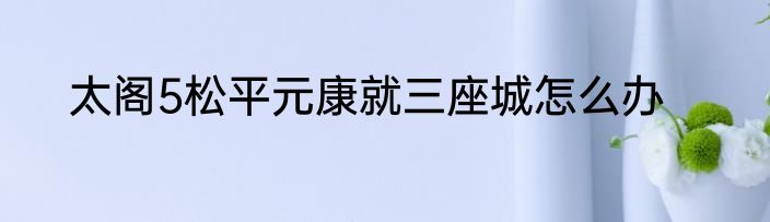 太阁5松平元康就三座城怎么办