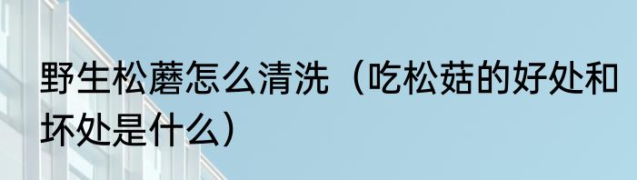 野生松蘑怎么清洗（吃松菇的好处和坏处是什么）