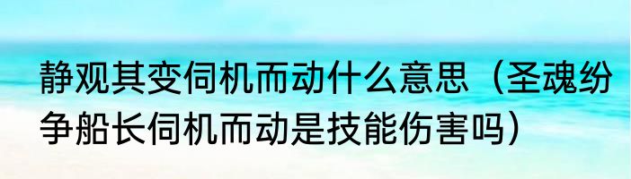 静观其变伺机而动什么意思（圣魂纷争船长伺机而动是技能伤害吗）