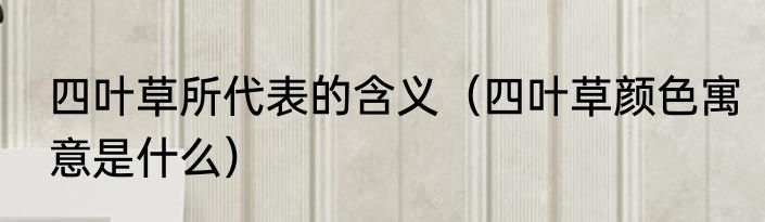 四叶草所代表的含义（四叶草颜色寓意是什么）