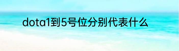 dota1到5号位分别代表什么