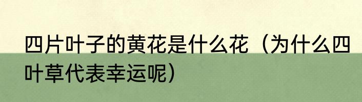 四片叶子的黄花是什么花（为什么四叶草代表幸运呢）