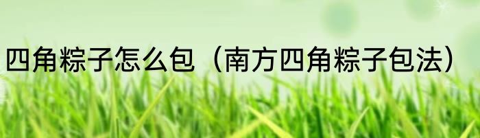 四角粽子怎么包（南方四角粽子包法）