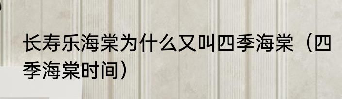 长寿乐海棠为什么又叫四季海棠（四季海棠时间）