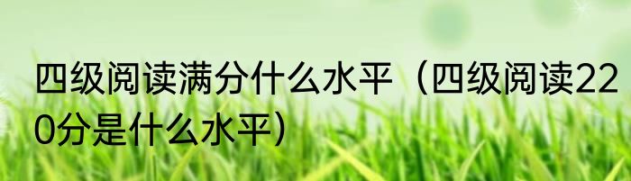四级阅读满分什么水平（四级阅读220分是什么水平）