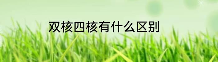 双核四核有什么区别
