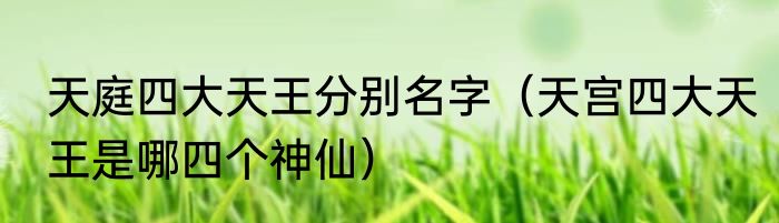 天庭四大天王分别名字（天宫四大天王是哪四个神仙）