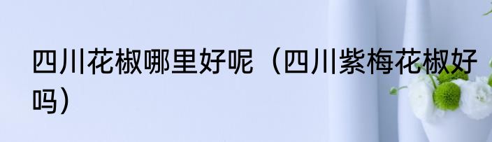 四川花椒哪里好呢（四川紫梅花椒好吗）