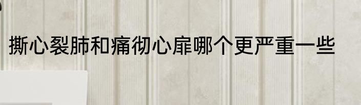 撕心裂肺和痛彻心扉哪个更严重一些