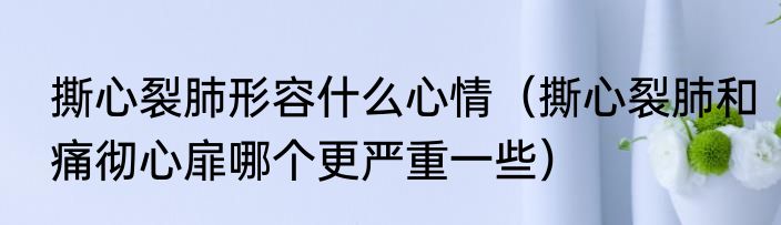 撕心裂肺形容什么心情（撕心裂肺和痛彻心扉哪个更严重一些）