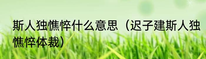 斯人独憔悴什么意思（迟子建斯人独憔悴体裁）