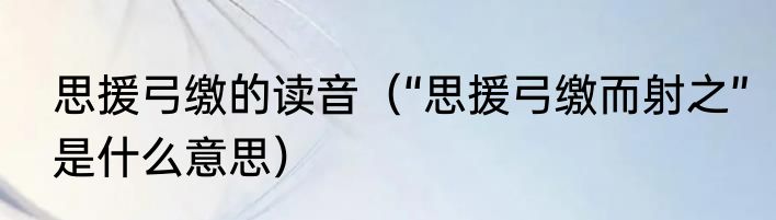 思援弓缴的读音（“思援弓缴而射之”是什么意思）