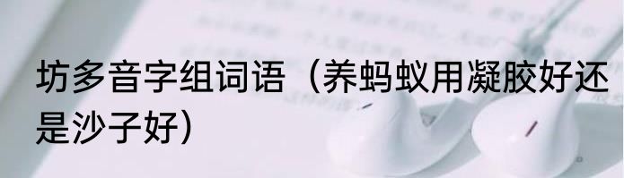 坊多音字组词语（养蚂蚁用凝胶好还是沙子好）