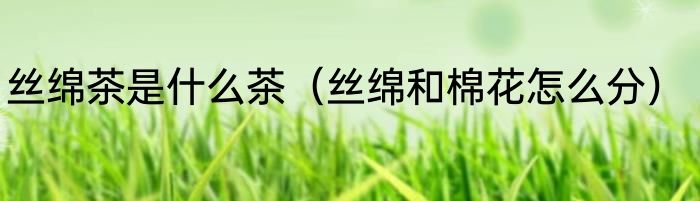 丝绵茶是什么茶（丝绵和棉花怎么分）