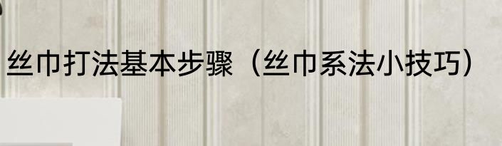 丝巾打法基本步骤（丝巾系法小技巧）