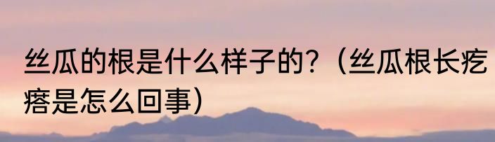 丝瓜的根是什么样子的?（丝瓜根长疙瘩是怎么回事）