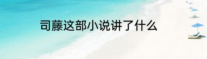 司藤这部小说讲了什么