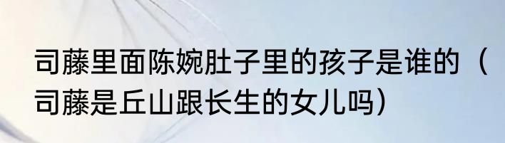 司藤里面陈婉肚子里的孩子是谁的（司藤是丘山跟长生的女儿吗）