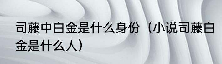 司藤中白金是什么身份（小说司藤白金是什么人）