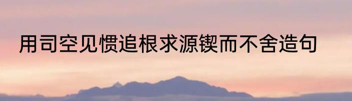 用司空见惯追根求源锲而不舍造句