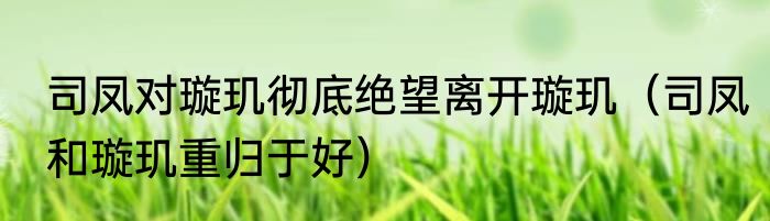 司凤对璇玑彻底绝望离开璇玑（司凤和璇玑重归于好）