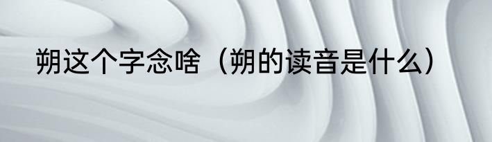 朔这个字念啥（朔的读音是什么）
