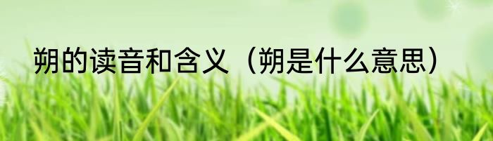 朔的读音和含义（朔是什么意思）