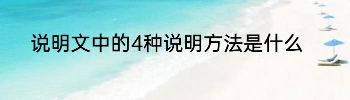 说明文中的4种说明方法是什么