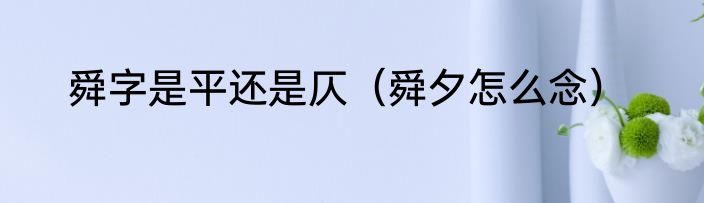 舜字是平还是仄（舜夕怎么念）