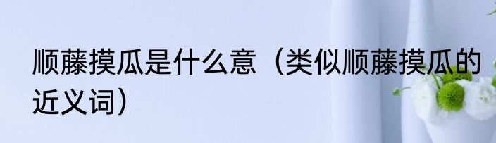 顺藤摸瓜是什么意（类似顺藤摸瓜的近义词）