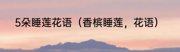 5朵睡莲花语（香槟睡莲，花语）