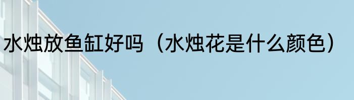 水烛放鱼缸好吗（水烛花是什么颜色）