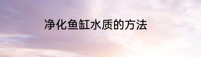 净化鱼缸水质的方法