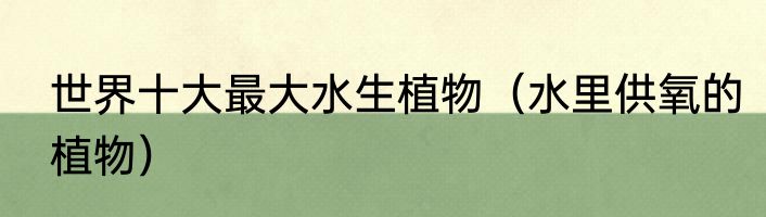 世界十大最大水生植物（水里供氧的植物）