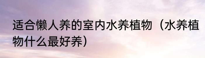 适合懒人养的室内水养植物（水养植物什么最好养）